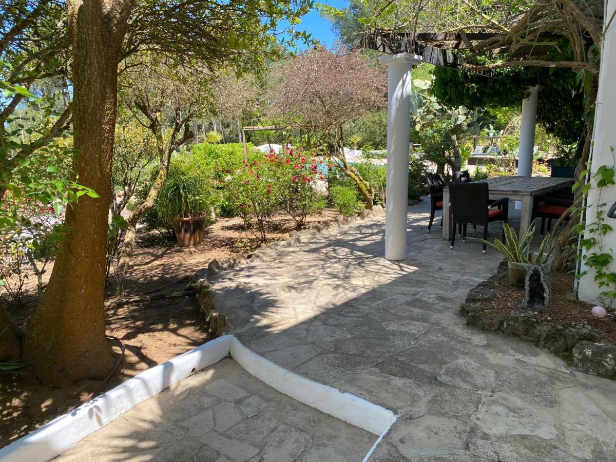 Can Iara 산트 미켈 데 발란사트 외부 사진
